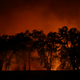 Image for article titled 16 Scary Photos of California's Wildfires